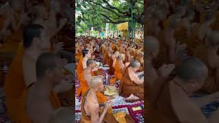 Under the mohabodhi tree chanting by Theravada monks [upl. by Googins]