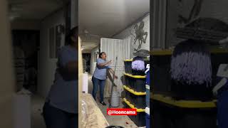 Scaring Mexican mom with giant spider prank [upl. by Lorianna959]