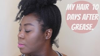 What Happened to my Hair 10 days After Using Grease [upl. by Hanni]