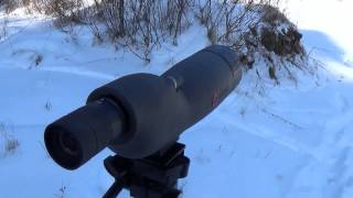 Simmons 2060x60mm Spotting Scope quotWhy you need onequot [upl. by Douville]