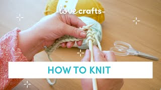 How to Knit  for absolute BEGINNERS [upl. by Clardy534]