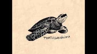 Tortuganónima  Kokoschka [upl. by Ydnir]