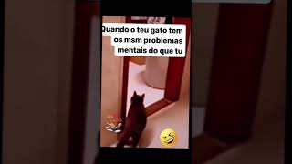 Quando o teu gato tem o mesmo problema mental do que tu 😅😅😅😅😅😅😅😅 [upl. by Jenesia]