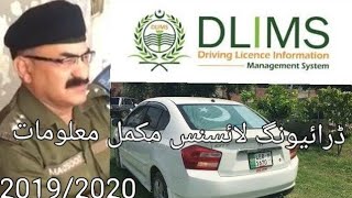 Driving License information in pakistan [upl. by Navak]