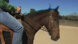 Rodeo Barrel Racing Tips  Preventing a Rodeo Horse from Running Up the Fence [upl. by Halika]