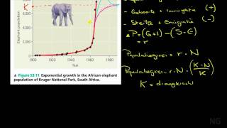 261  Populatieecologie [upl. by Nnorahs]