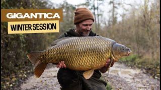 Gigantica Winter Session  Extract [upl. by Itra167]