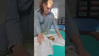 Trunky the Horsefield Tortoise fresh after bath video animals pets happy cute [upl. by Lamrej852]