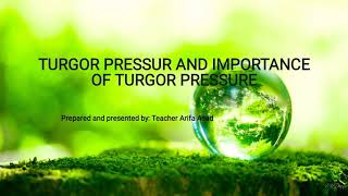 what is turgor pressure and importance of turgor pressure [upl. by Berkin]