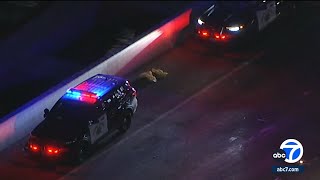 Baby dies after being found in lanes of traffic on Southern California freeway 2nd child injured [upl. by Edahs812]