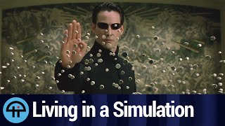 This Video Game Designer Thinks Were Living in a Simulation [upl. by Ragouzis]