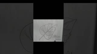 How to draw leaves ☘️🌿 [upl. by Jinny17]