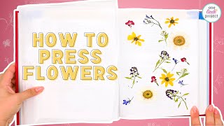 How to Press Flowers  The BEST Method for Drying Pressed Flowers [upl. by Ricardama]