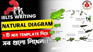 ielts writing task 1 Natural Diagram class bangla।।ielts class banglay bd [upl. by Sancho]