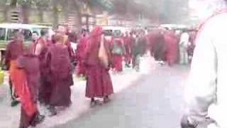 Monks at Kagyu Monlam Prayer Festival in Bodhgaya [upl. by Kip586]