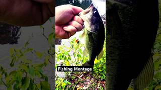 Fishing NUT 🤪 fishing montagevideo fypyoutube primus [upl. by Eirb620]