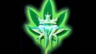 Kottonmouth Kings KMK feat Judge D  Take A Ride [upl. by Amersham]