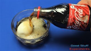 Egg vs Coke  Science Experiment [upl. by Nywde]