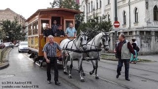 Tramvai tras de cai în Timișoara  PhoenixHeiTramvai 14062014 [upl. by Suidualc969]