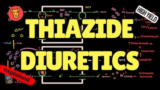 THIAZIDES DIURETICS Mechanism of action Side effect Pharmacology USMLE [upl. by Lohse]