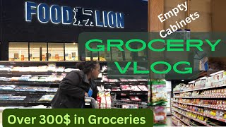 NEW MASSIVE GROCERY SHOPPING VLOG❗️WE NEEDED EMERGENCY FOOD STAMPS❗️ [upl. by Bluefield]