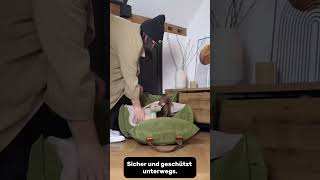 30 Tage Test Dieses Hundesitzbett hat mein Leben verändert cutedog fy hund automobile puppy [upl. by Ive920]