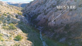 Whats In This Canyon Searching For Caves In The Utah Desert [upl. by Dweck]