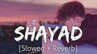 Shayad  Lofi    Arijit Singh  Bollywood cover song [upl. by Stanzel523]