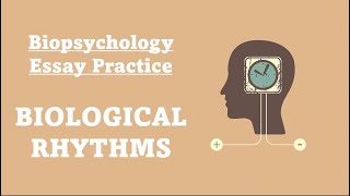 ESSAY PRACTICE Biological Rhythms [upl. by Aynat]