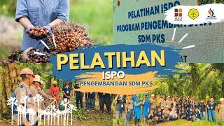 Pelatihan ISPO BPDPKS 2024 Oleh Mutu Institute [upl. by Jaret171]