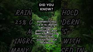 Jungle Pharmacy RainforestMedicine NaturePharmacy HealingPlants JungleFacts NatureHealth [upl. by Ahsanat]