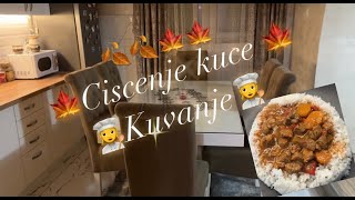 🍁MOTIVACIJA ZA BRZINSKO CISCENJE KUCE🍁 [upl. by Eener499]