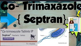 Sulfonamides Pharmacology CoTrimaxazole Pharamcology SEPTRAN Fancidar Bacterial infections 🦠🧫 [upl. by Tena]