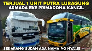 WAJAH BARUNYA BIKIN PENASARAN MELIHAT PROSES PERUBAHAN ARMADA EKSPRIMADONA KANCIL [upl. by Tterrej]