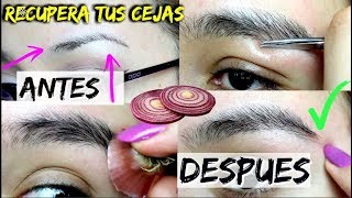 COMO ENGROSAR LAS CEJAS DE MANERA NATURAL 100 EFICAZ [upl. by Spratt]