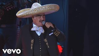 Vicente Fernández  Hermoso Cariño En VivoUn Azteca en el AztecaVersión Editada [upl. by Lleira910]