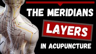 The Meridians Layers in Acupuncture Theory [upl. by Powell]