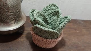 Tutorial posavasos crochet  Planta crochet tutorial  hojas crochet tutorial  maceta crochet [upl. by Kcired]