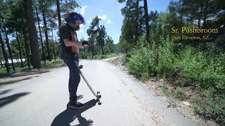 Dead Deer  Downhill Longboarding [upl. by Standice]