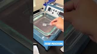 Tissue Processing  Histopathology [upl. by Ocirema]