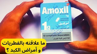 Amoxil معلومات حول دواء أموكسيل [upl. by Caitlin]