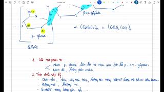 Lý thuyết Polysaccharide Phần 1 [upl. by Jat]