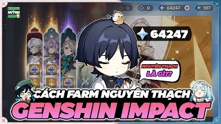 GENSHIN IMPACT  NGUYÊN THẠCH LÀ GÌ 20 CÁCH FARM NGUYÊN THẠCH CHO F2P VÀ NEWBIE [upl. by Hollis291]