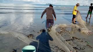 jaring ikan di pantai tanjung ada ikan utus dan mudok [upl. by Nnylarak190]