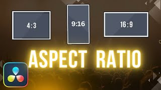 How To Change Aspect Ratio in Davinci Resolve 19 [upl. by Yart]