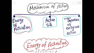 Naming and Mechanism of action of enzymes [upl. by Yelrah]