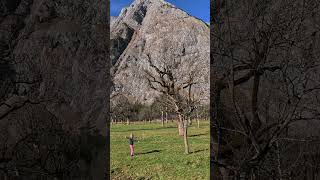 Großer Ahornboden im Karwendel ein Naturparadies 🍁🏔️ tirol travel karwendel [upl. by Saidee]