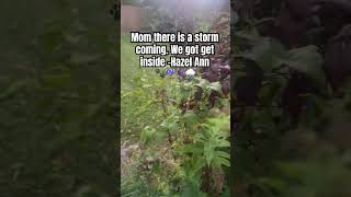 So dark momHazel Ann dogsofyoutube furkids storm rain [upl. by Serafina]