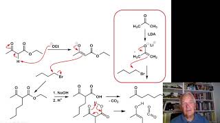 Acetoacetic Acid Ester Synthesis [upl. by Aloysius959]