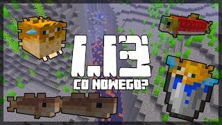 Minecraft 113 Snapshot 18w08b Co Nowego Ryby Jako Mob 8 Nowych Biomów Rowy Oceaniczne [upl. by Alessandro]